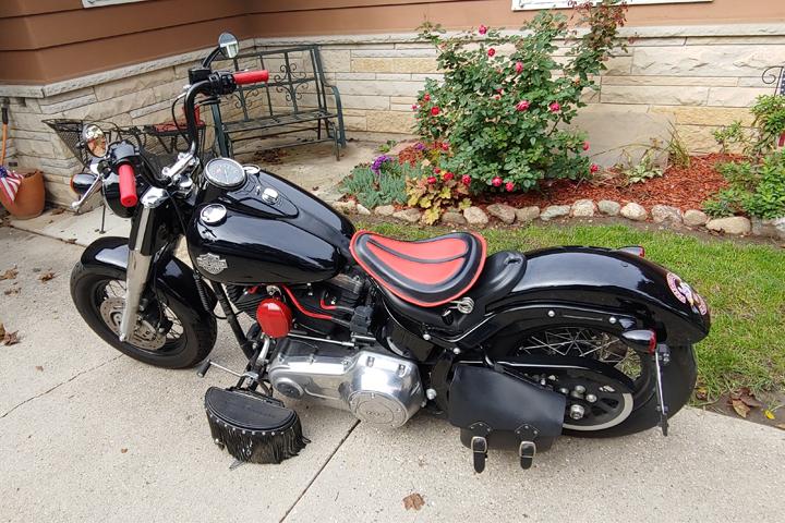 2015 Harley-Davidson Softail Slim Custom Red Paint